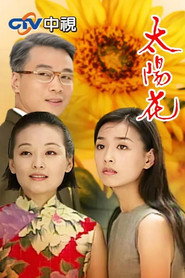 太阳花 封面