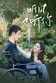 听风也听你 封面