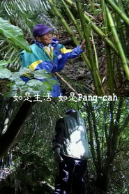 如是生活 如是Pang-cah 封面