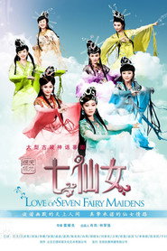天地姻缘七仙女 封面