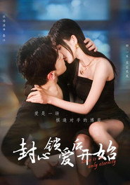 封心锁爱后开始 封面