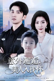 意外邂逅,美人入我怀 封面