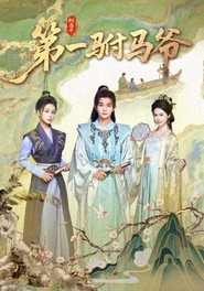 第一驸马爷 封面