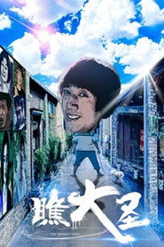 瞧大圣 封面