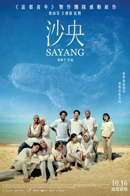沙央 封面