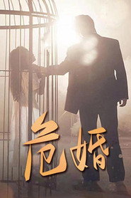 危婚 封面