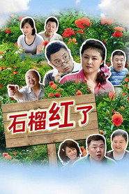 石榴红了 封面