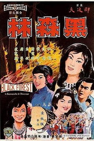 黑森林 封面