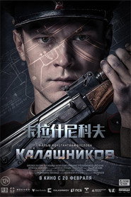 卡拉什尼科夫 封面