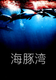 海豚湾 封面