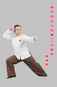 嫡传杨式太极拳 封面