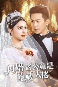 闪婚老公竟是隐藏大佬 封面