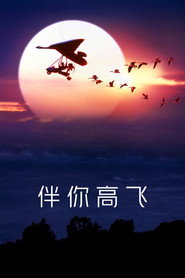 伴你高飞 封面