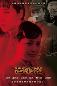 苦菜花 封面