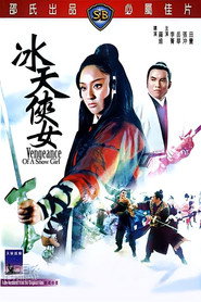 冰天侠女 封面