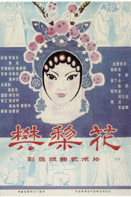 樊梨花 封面