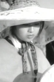 留兰 封面
