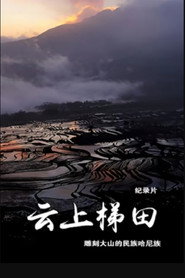 云上梯田 封面