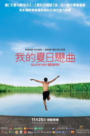 夏日风暴 封面