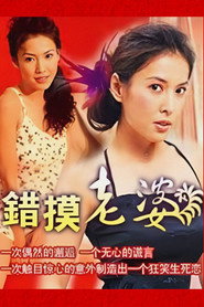 错摸老婆 封面