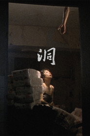 洞 封面