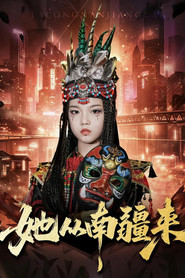 她从南疆来 封面