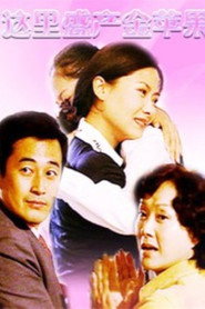 这里盛产金苹果 封面