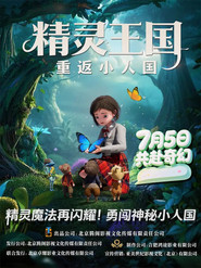 精灵王国：重返小人国 封面