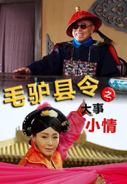 毛驴县令之大事小情 封面