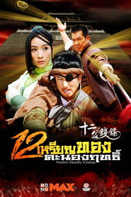 十二金钱镖 封面