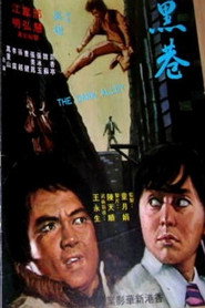 黑巷 封面