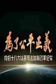 为了公平正义 封面