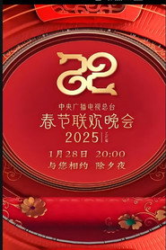 央视春晚 封面