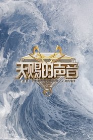 天赐的声音 封面