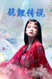 锦鲤传说 封面