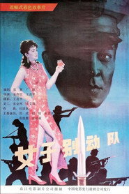 女子别动队 封面