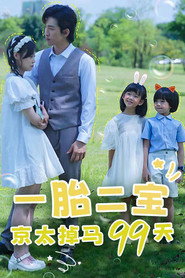 一胎二宝:京太掉马99天 封面