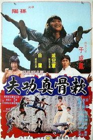 软骨真功夫 封面
