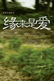 缘来是爱 封面