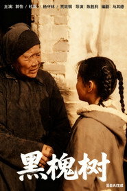 黑槐树 封面