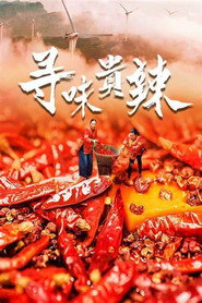 寻味贵辣 封面