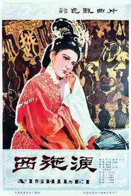 西施泪 封面