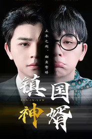 镇国神婿 封面