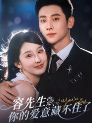 容先生,你的爱意藏不住了 封面