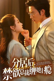 分居后,禁欲总裁缠她上瘾 封面