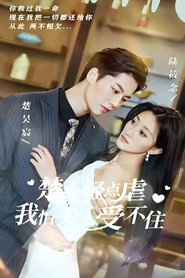 楚少轻点虐我怕夫人受不住 封面