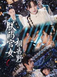 朕的宫女相当野 封面