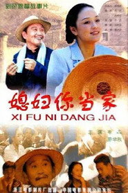 媳妇你当家 封面