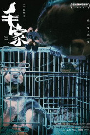 毛家 封面