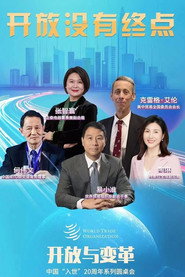开放与变革—中国入世20周年系列圆桌会 封面